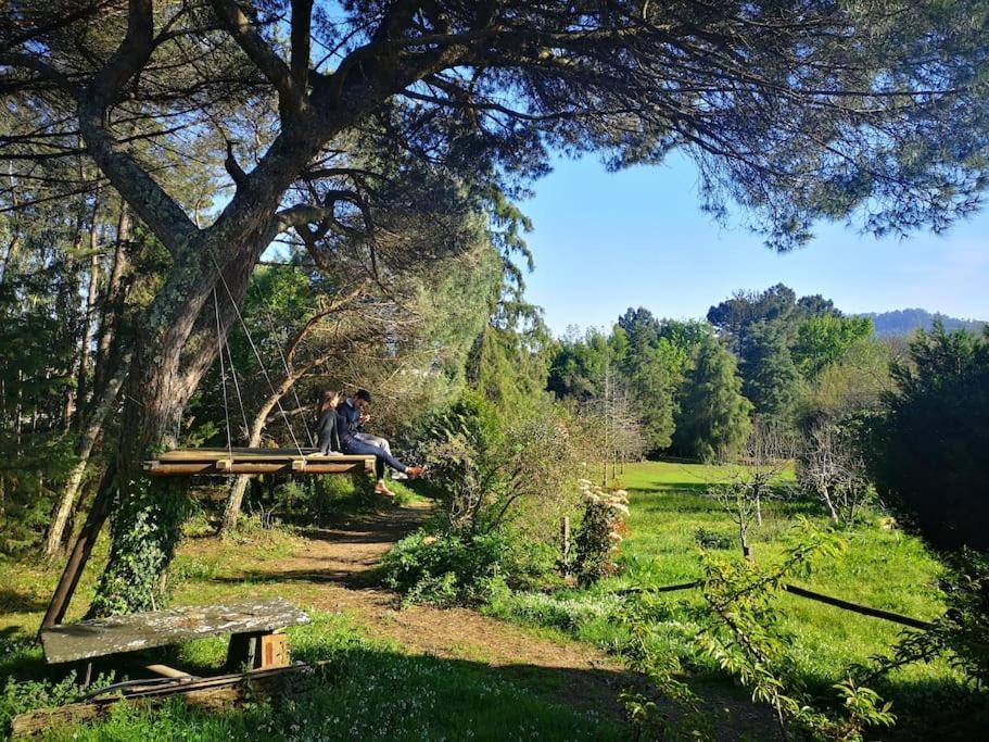 Pine Lodge - Direct Train To Porto Valongo  Esterno foto